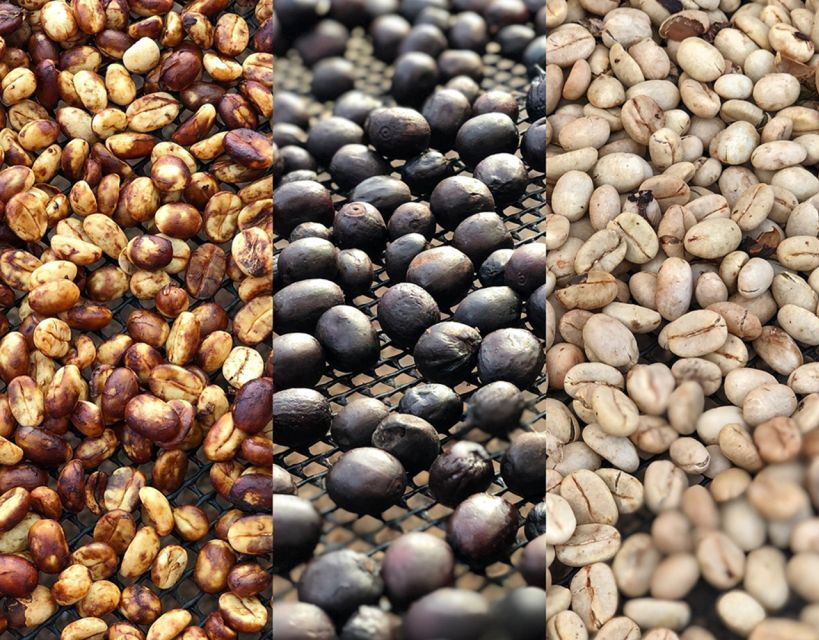 Pereira: Coffee Farm and Salento Walking Tour With Lunch