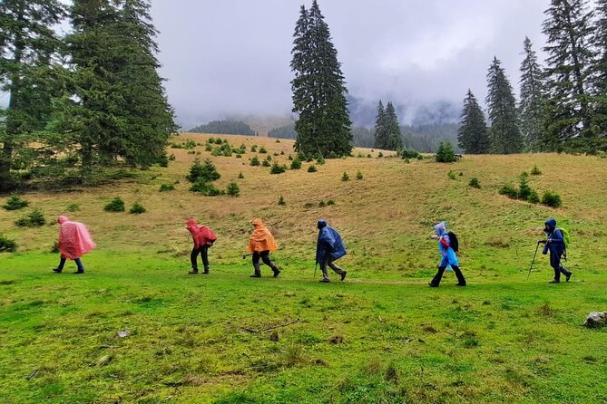 Pestera and Magura Full-Day Private Walking Tour From Brasov - Good To Know