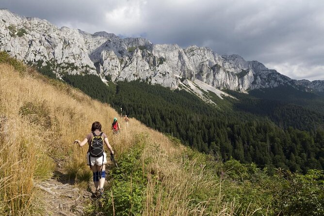 Piatra Craiului National Park Private Hiking Tour From Brasov - Good To Know