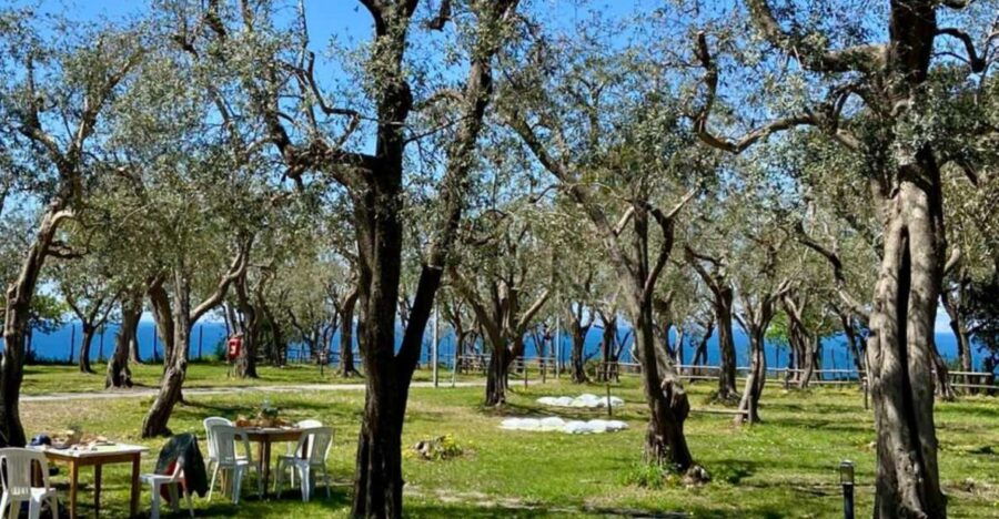 Pic-Nic Sea View: Sorrento Coast
