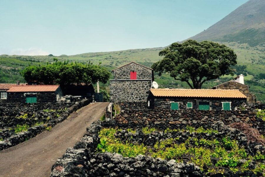 Pico, Azores: Highlights Tour With Wine Tasting and Picnic - Good To Know