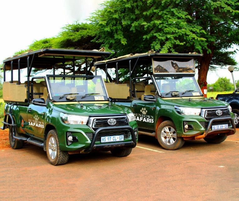 Pilanesberg Morning or Afternoon 3 Hour Game Drive