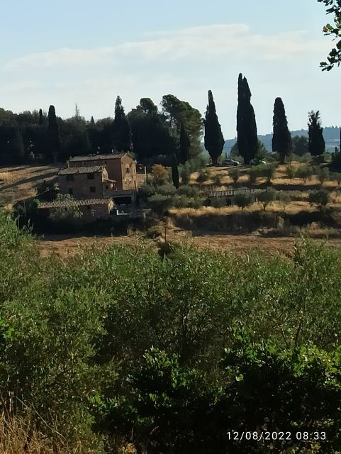 Pisa and Florence Private Shore Excursions From Livorno - Good To Know