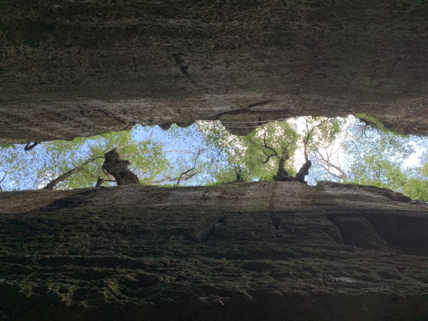 Pitigliano: Vie Cave and Etruscan Necropolis Walking Tour