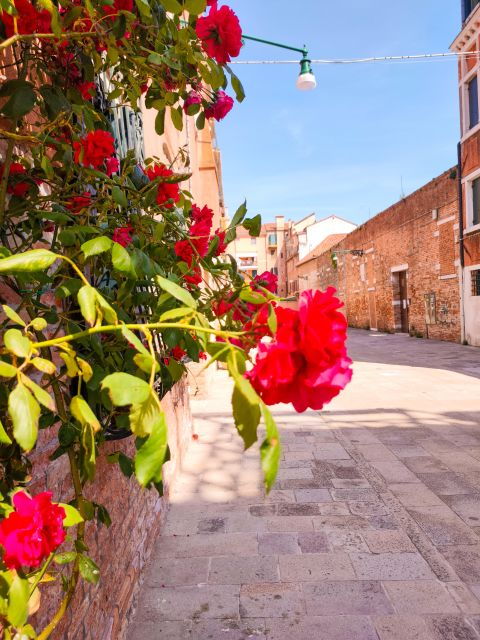 Plague & Palate: Venices Dark History and Culinary Delights - Inclusions