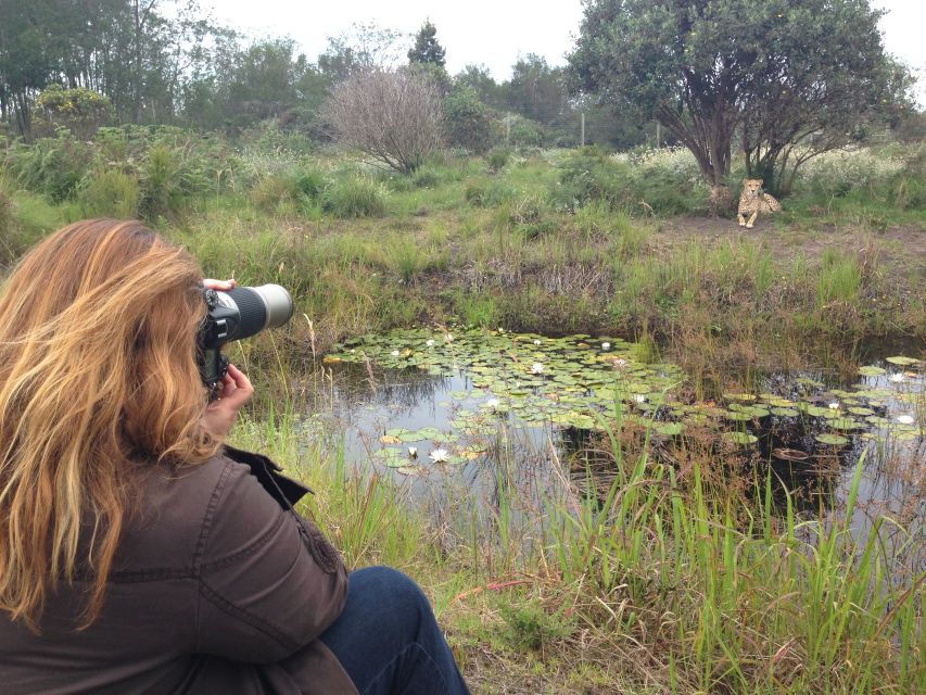 Plettenberg Bay: Cats in Conservation Full Day Tour - Itinerary Highlights