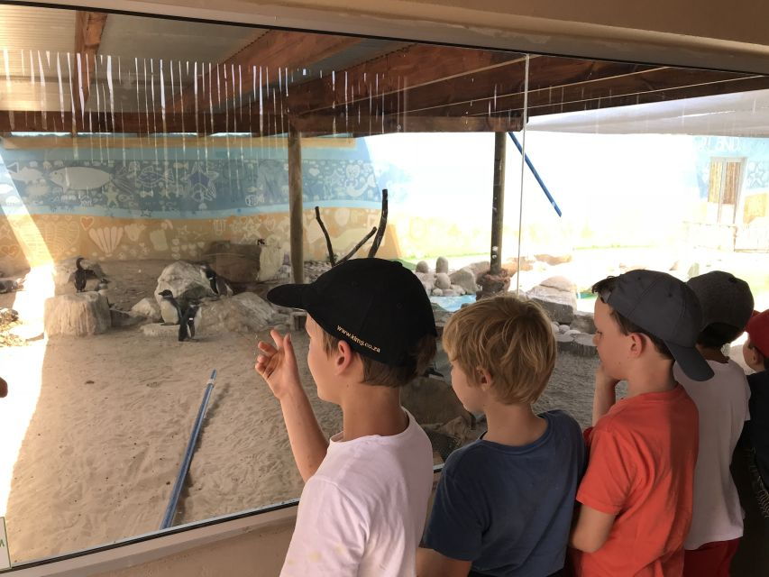 Plettenberg Bay: EcoKidz Family Challenge Wildlife Tour - Itinerary Overview