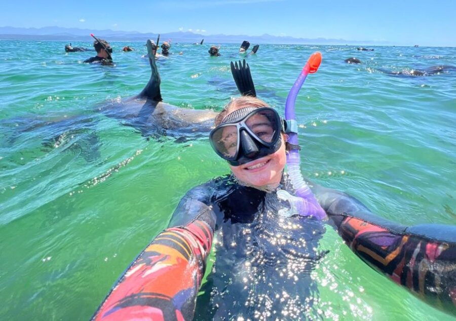 Plettenberg Bay: Seal Viewing Boat Trip - Activity Description