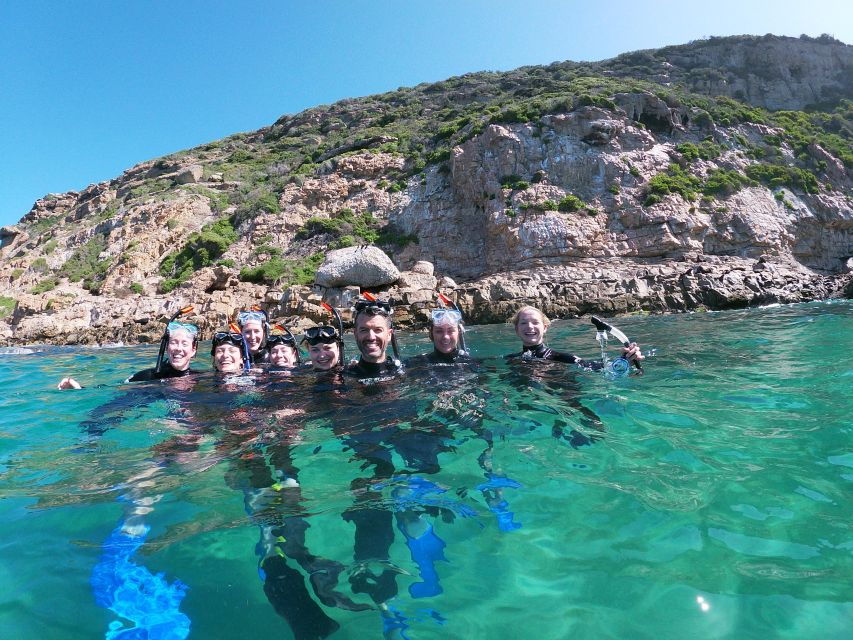 Plettenberg Bay: Swim With Seals
