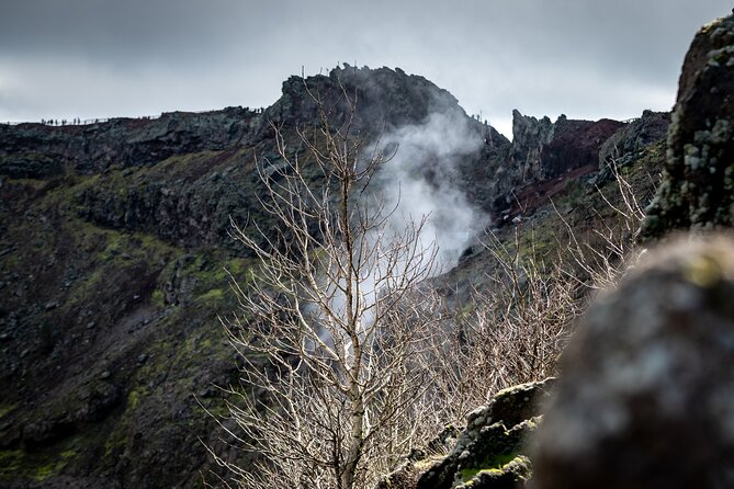 Pompeii and Vesuvius Small Group Tour From Sorrento - Good To Know