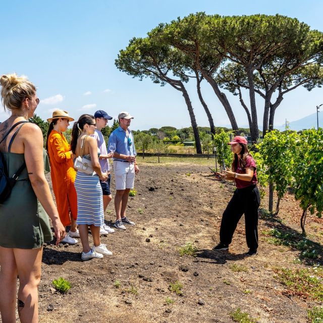 Pompeii, Herculaneum and Wine Tasting - Private Tour - Tour Details