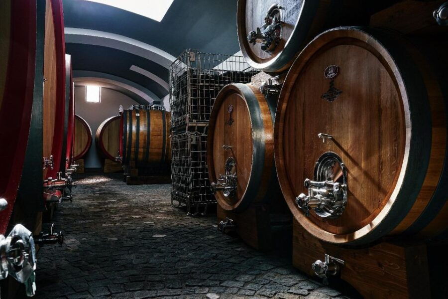 Pompeii & Wine Tasting From Naples