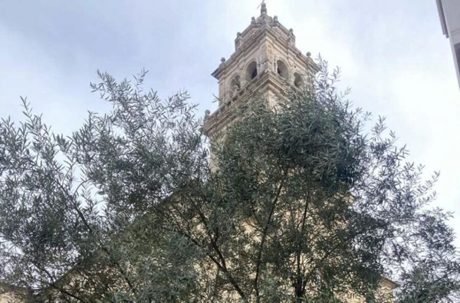 Ponferrada: Mysteries and Legends Guided Walking Tour