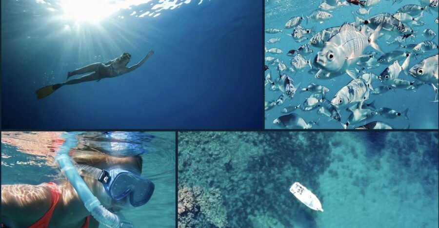 2 Best Snorkeling Experiences In Port De Soller