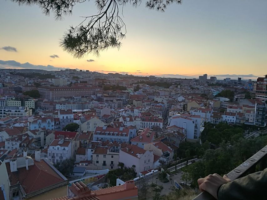 Porto / Lisbon Transfer With Aveiro, Nazaré & Óbidos - Good To Know
