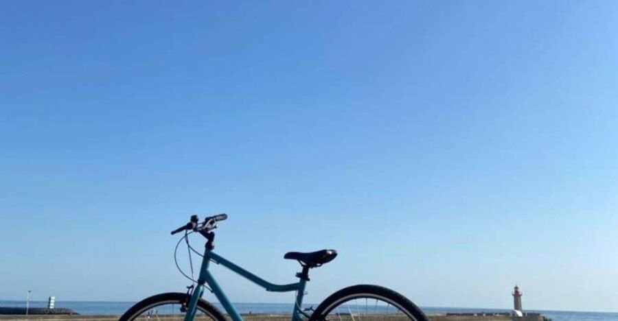 Porto: Rent a Bike or E-Bike - Good To Know