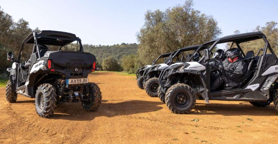 Porto Santo: 180 Minutes Off-Road Buggy Tour