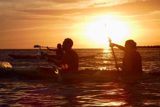 PORTO SELVAGGIO Sea Kayak Tour + Cold Spring Immersion - Good To Know