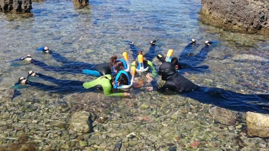 Porto Torres: Snorkeling in Balai Bay - Activity Details