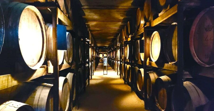 Porto: Wine Tastings (Green Wine) & Tradicional Lunch - Tour Details