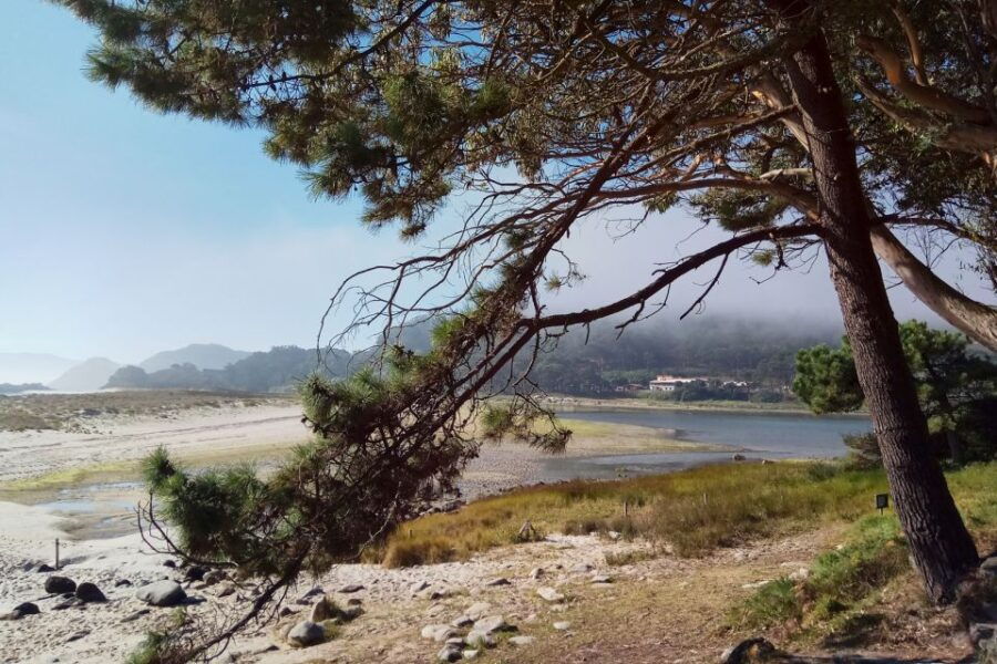 Portonovo: Ferry to Cies Islands & Rodas Beach - Activity Details