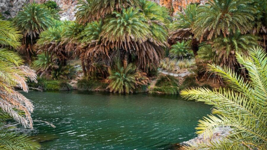 Preveli Tropical Beach