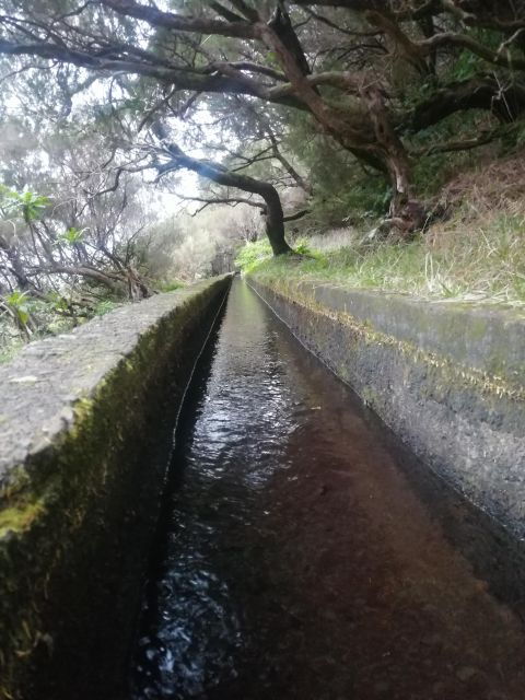 Private – 25 Fontes and Risco Waterfall Guided Tour