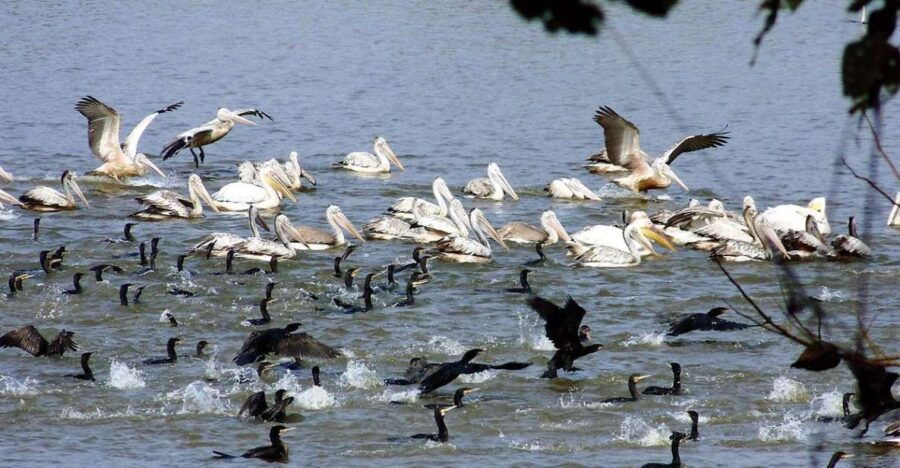 Private Agra Overnight Tour With Bharatpur Bird Sanctuary - Good To Know