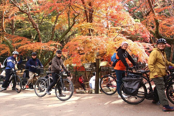 Private Bike Tour in Nara With Japanese Guide