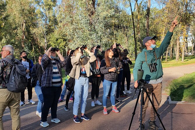 Private Birding Tour in Albania