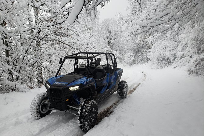 Private Buggy Experience All Seasons in Pamporovo - Good To Know