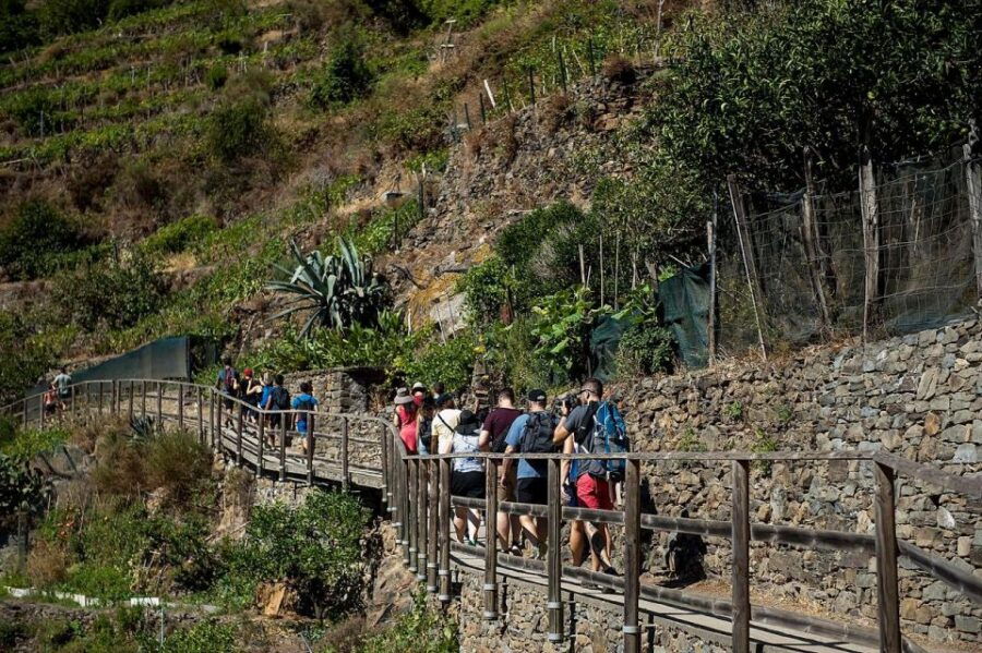 Private Cinque Terre Tour From Florence With Optional Hike - Activity Description