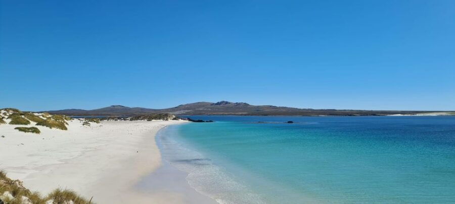 Private Coastal Gems Tour: Penguins, Scenery & Stanley - Pricing Details