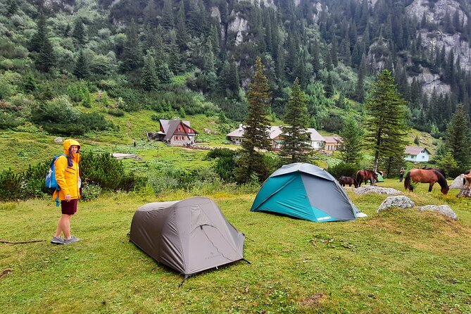 Private Day Hike From Brasov to Malaiesti Cottage