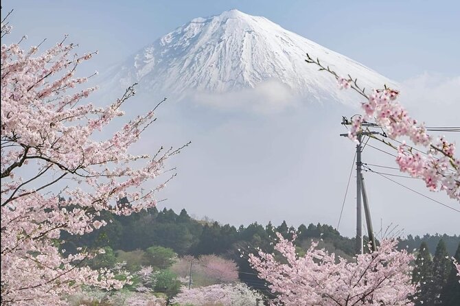 Private Day Tour in Mount Fuji From Tokyo