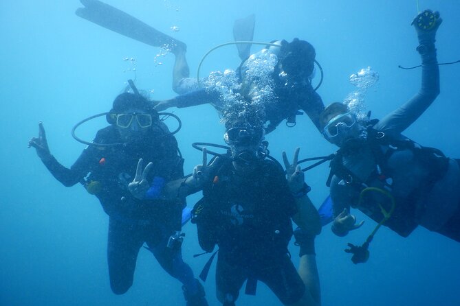 Private Discovery Scuba Diving With Sea Turtles - Location and Meeting Details