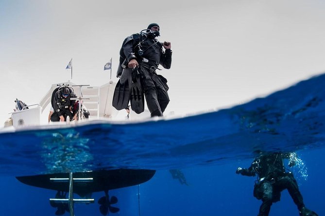 Private Diving at Zenobia Wreck in Larnaka - Good To Know