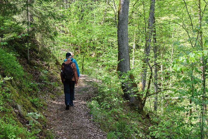 Private Full-Day Hiking Tour in Sigulda and Gauja National Park