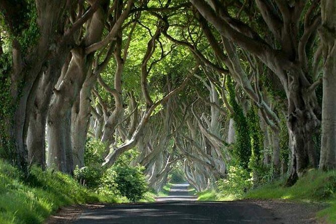 Private Game of Thrones Including Giants Causeway Causeway Coast Rope Bridge
