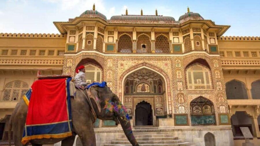 Private Jaipur 1 Day Tour/Amir Fort Elephant Rides Activity - Tour Details
