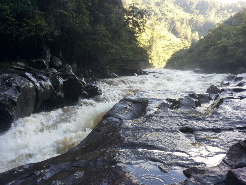 Private Jeep Tour to the Surroundings of San Agustín - Good To Know