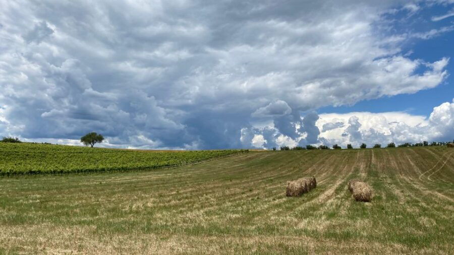 Private Lucca Wine Tour: 2 Winery With Lunch - Tour Details