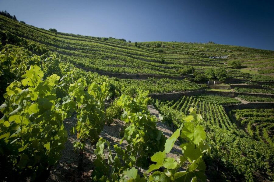 Private Luxury Wine & Food Tour in Douro - Important Information