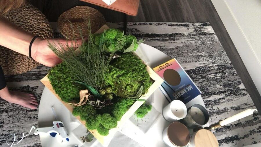 Private Moss Frame Making Workshop - Good To Know