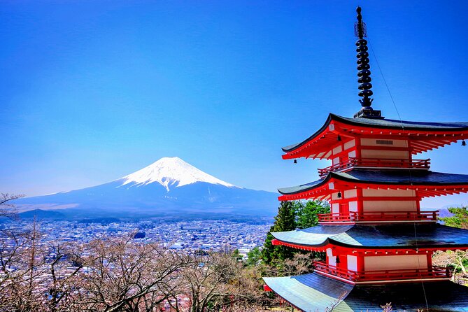 Private Mount Fuji and Hakone Tour With English Guide