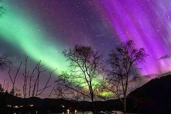 Private Northern Lights Tour From Reykjavik - Tour Highlights