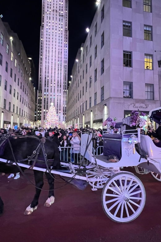 Private NYC Lights or Christmas Lights Horse Carriage Tour - Good To Know