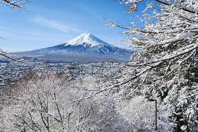Private One Day Tour Mount Fuji With English Speaking Driver