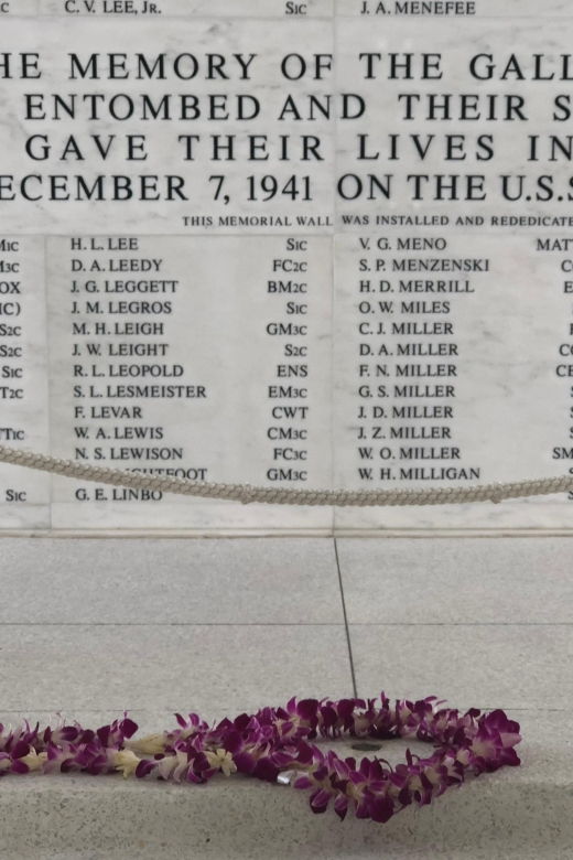 Private Pearl Harbor – USS Arizona and USS Missouri