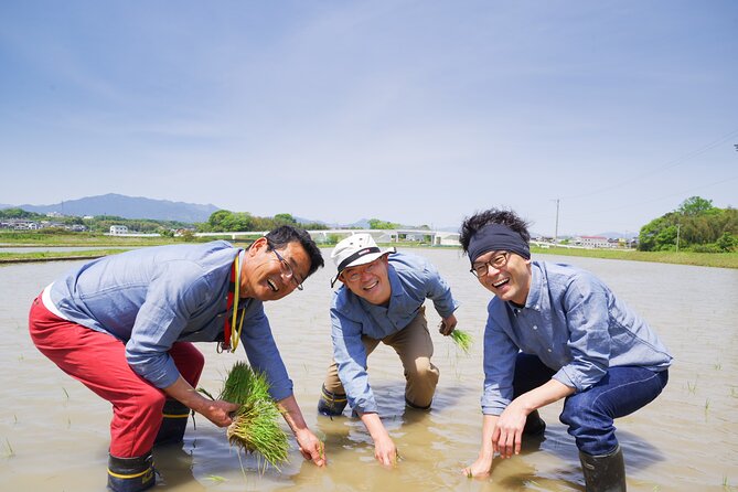 Private Rice Agriculture Experience in Mie - Good To Know